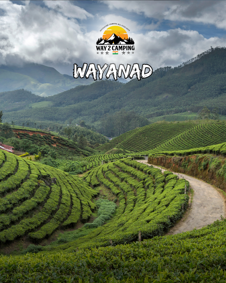 Wayanad 2