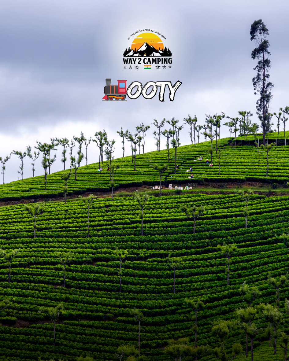 Ooty & Coonoor 2